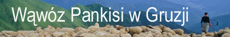 Wąwóz Pankisi w Gruzji